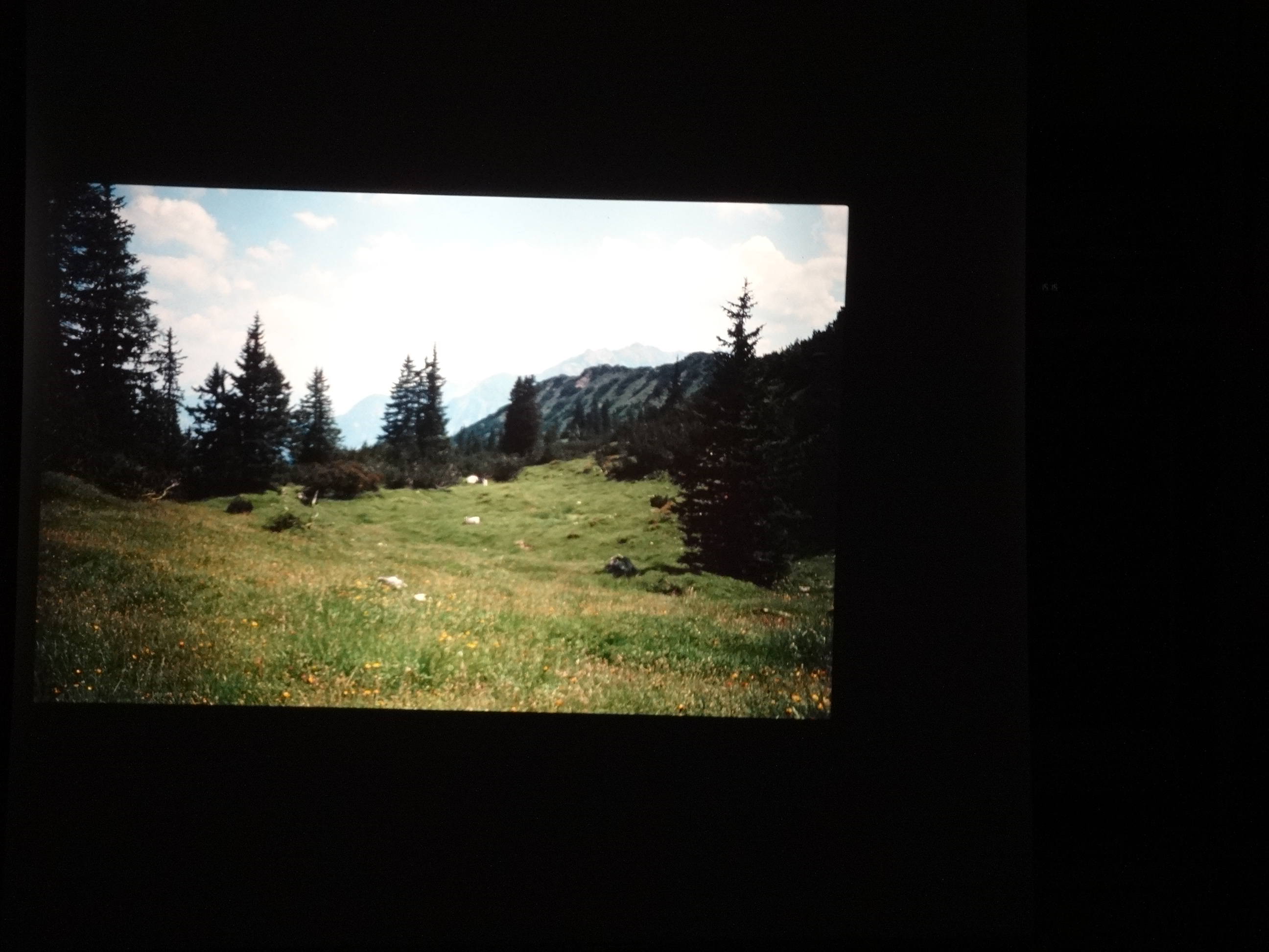 1991_150___von_Ordner___1991_dias_tschengla_bludenz