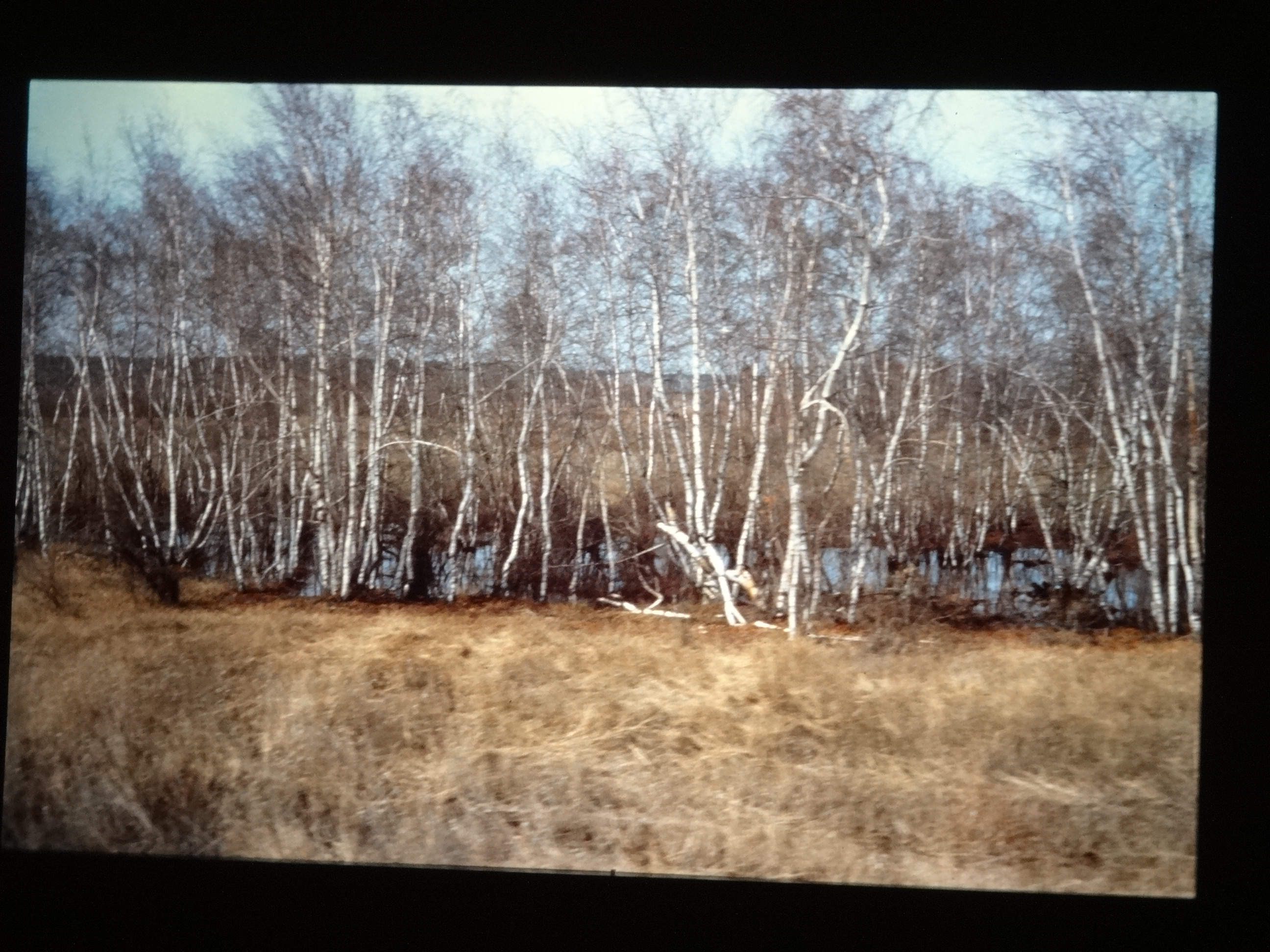 1991_sibirien480___von_Ordner___1991pfingsten_brixe_sibirien