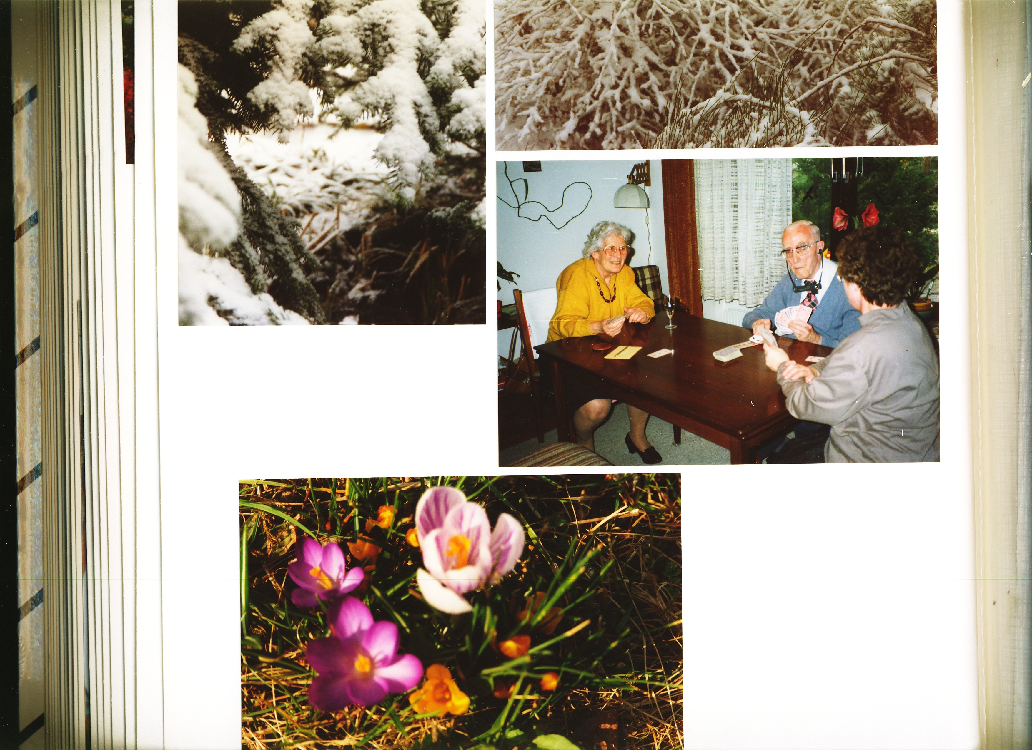 1992_21_8opalauffer