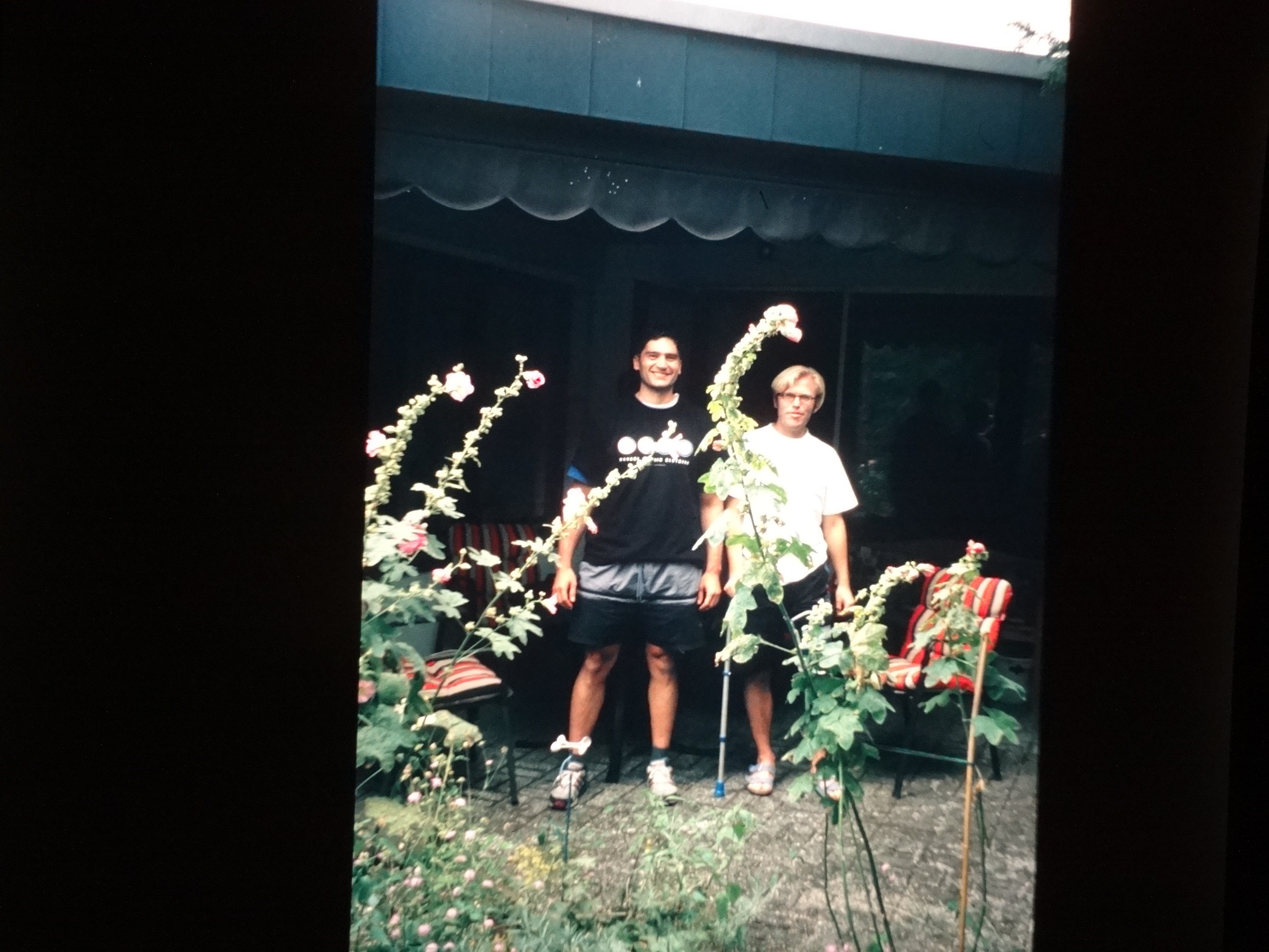 2002_warth010___von_Ordner___2001_2002dias_warth_blumen