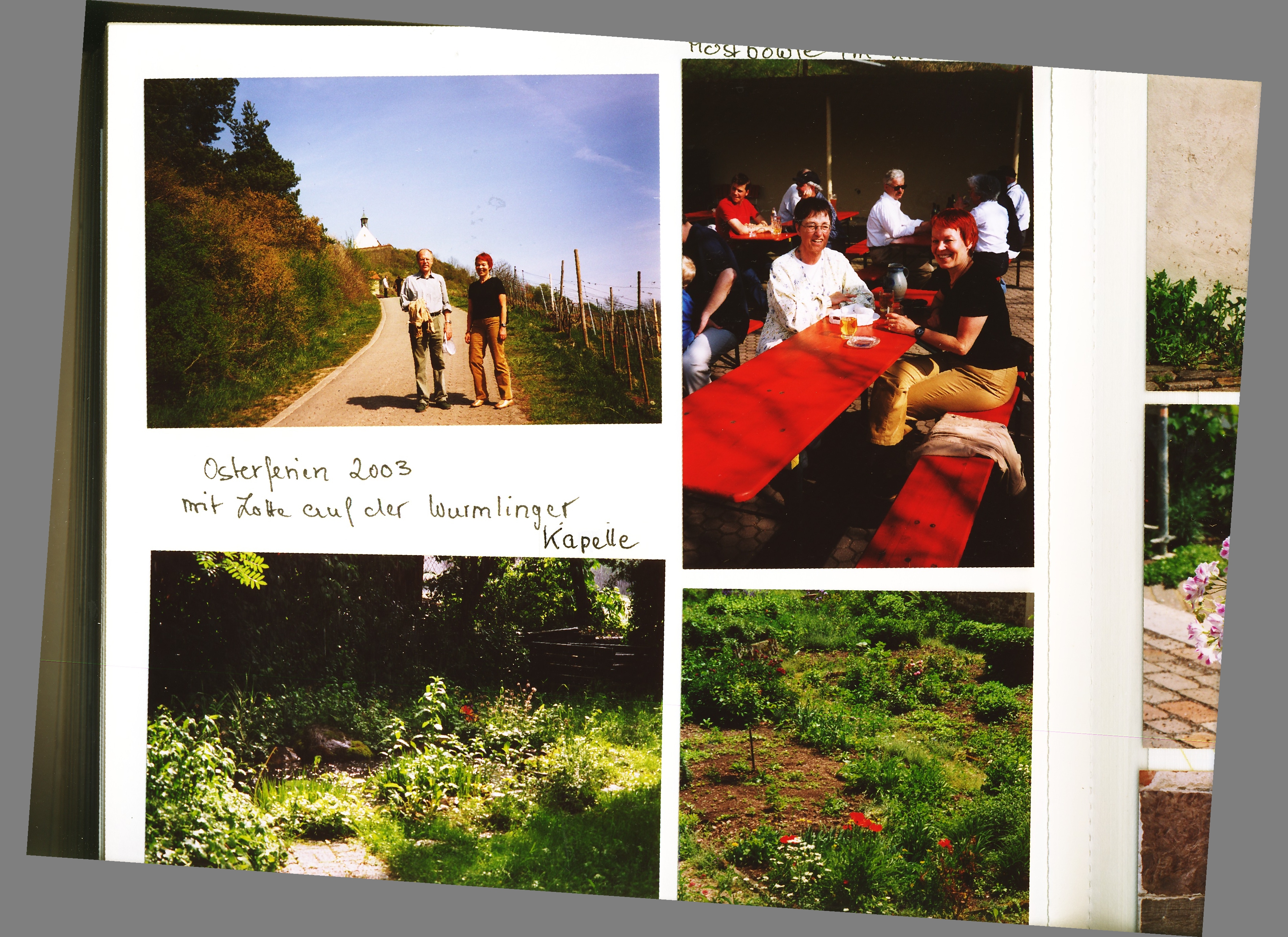 2003_22_1lotte