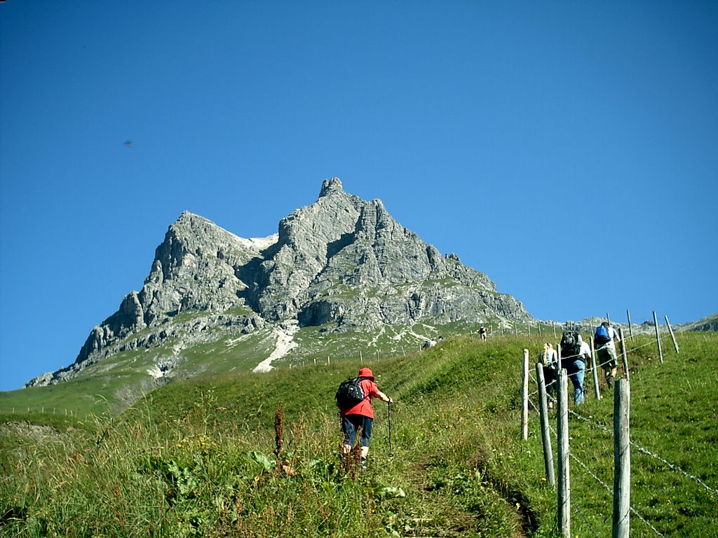 2004_08warth229