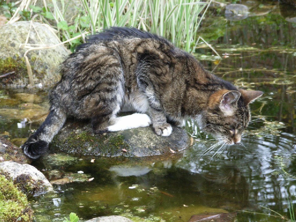 2005_03tina13