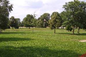 A060
