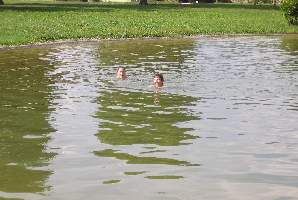 A070