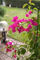 C2009_09_06