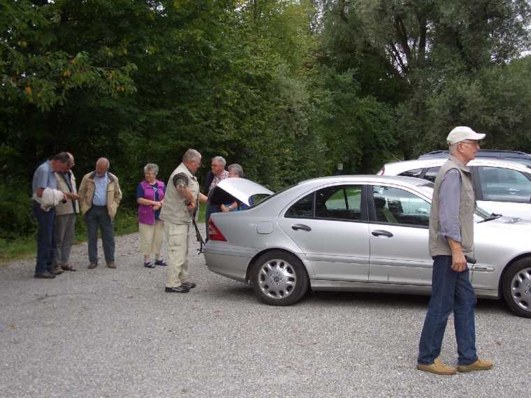 kirchentellingsf20.jpg
