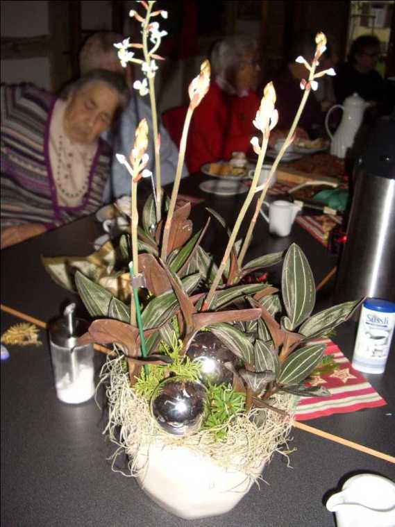 weihnachtsfeier060.jpg