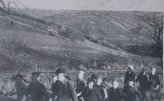 Fritz065